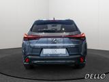 Lexus UX 300h F-Sport Design SHZ KAMERA NAVI ACC LED - Lexus UX in Hamburg