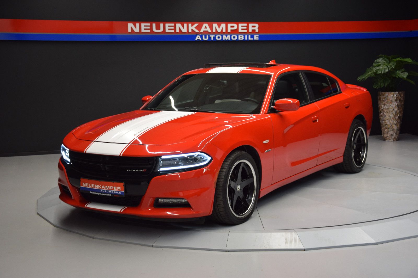 Fahrzeugabbildung Dodge Charger Schiebedach Sitzl Bi-Colo Alpine LED NAV