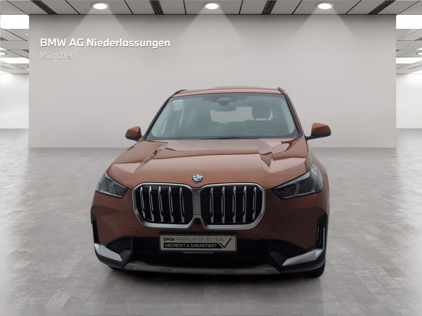 BMW X1 - Bild 4