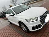 Audi Q5 2.0 TDI quattro 190PS  Top Zustand - Audi Q5: Ps