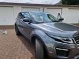 Andere Range Rover Evoque 2 - Andere mit Benzin-Antrieb: Kleinbus