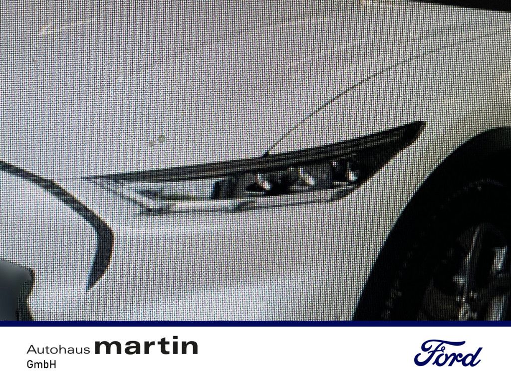 Fahrzeugabbildung Ford Mustang MACH-E Extended Range ACC LED PANO 360°