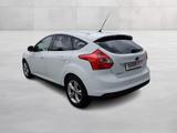 Ford Focus Champions Edition 1.0 EcoBoost KAT - Ford Focus: Edition