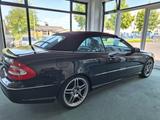 Mercedes-Benz CLK 55 AMG*AUTOMATIK*VOLL!*ROSTFREI*LADIES-CAR! - Mercedes-Benz CLK 55 AMG: Cabrio