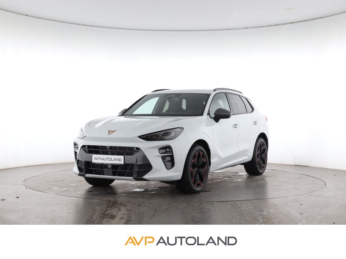 Cupra Terramar - Bild 1