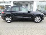 Porsche Cayenne Pano Bi-Xenon Kam. Navi Bose Volleder - Porsche Cayenne Gebrauchtwagen