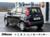 Fiat Panda MY26 Pandina ICON Hybrid 1.0 GSE SOFORT TE - Fiat Panda: Schwarz