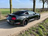 Ford Mustang 3.7 V6 mit LPG sehr sparsam ,Performance - Ford Mustang mit LPG-Antrieb