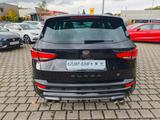 Cupra Ateca VZ 4Drive DSG 300PS NAVI+AKRAPOVIC+ACC+APP - scheckheftgepflegte Cupra Ateca