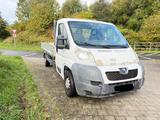 Peugeot Boxer - gebrauchte Peugeot Boxer aus dem Jahr 2008