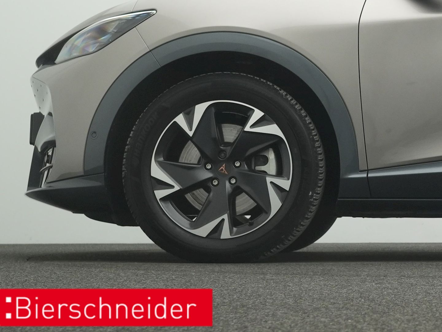 Cupra Tavascan - Bild 27