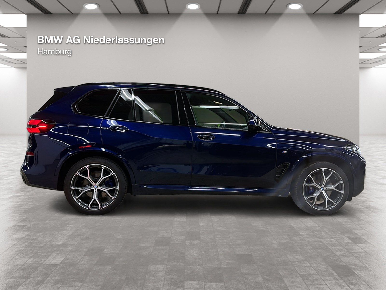 BMW X5 xDrive30d M Sport AHK Driv.Assist.Prof LED foto 4
