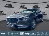Mazda CX-30 2.0 SKYACTIV-G M Hy. 150 Selection 2WD - Mazda CX-30 in Bielefeld
