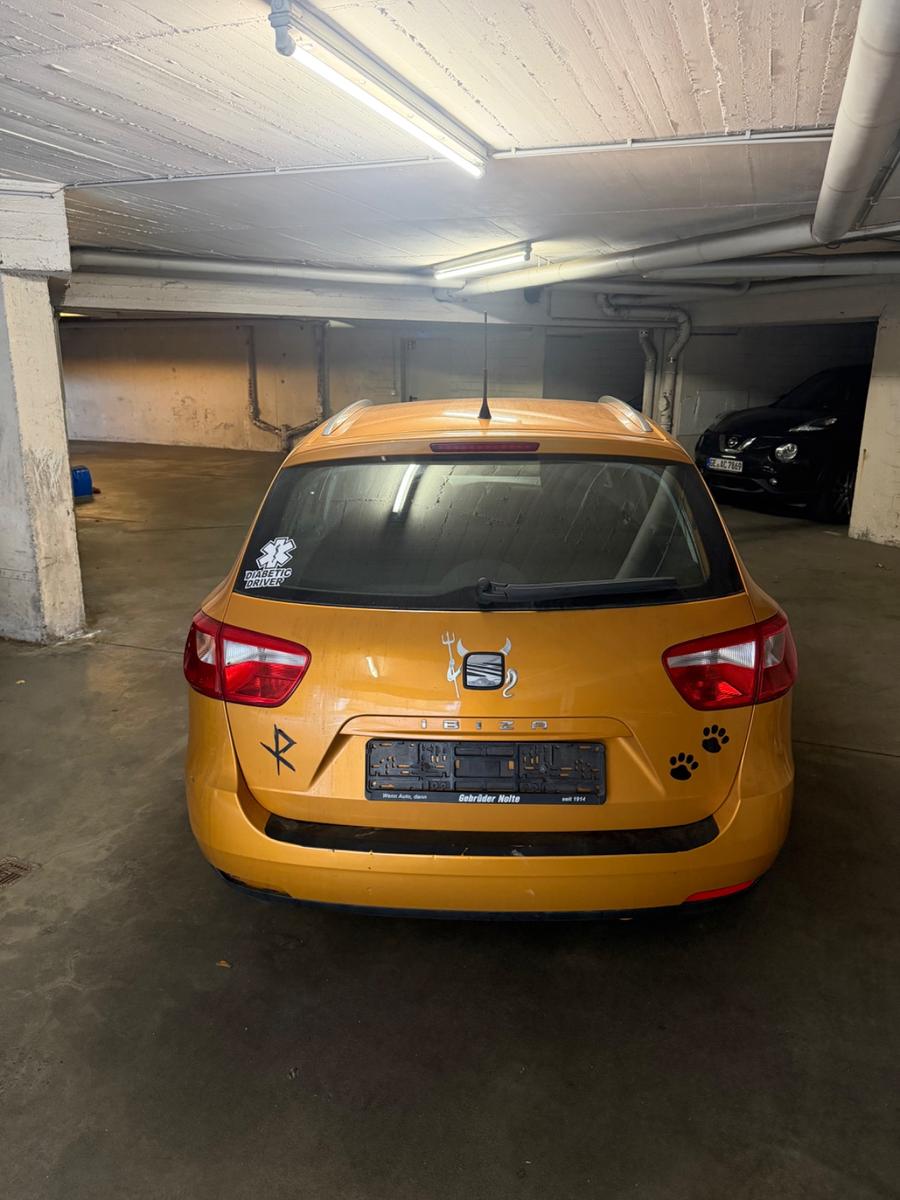Seat Ibiza 2010 — rear view