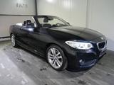 BMW 218 Cabrio d Advantage Automatik - gebrauchte BMW Roadster