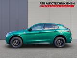 Alfa Romeo Stelvio Quadrifoglio Verde Montreal Sonderlack 5 - Alfa Romeo: Verde