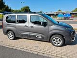Citroën Citroen Berlingo Pure Tech 110 S&S Shine XL - Citroën Berlingo in Dortmund