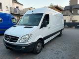 Mercedes-Benz Mercedes-Sprinter 313 MAXI LANG - Mercedes-Benz Sprinter: 313 Maxi