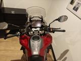 Triumph TIGER 1200 GT PRO - TRIUMPH MOTORRAD