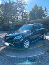 Mercedes-Benz Mercedes Benz ML 250 - Mercedes-Benz ML 250 aus 2015