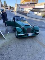 Andere Panther kallista  - Andere: Panther