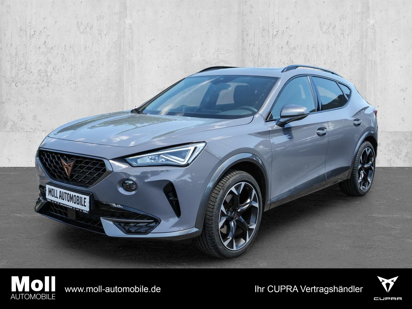 Cupra Formentor 1.5 TSI DSG Teilleder Panorama-Dach LE