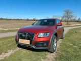 Audi Q5 2.0 TFSI tiptronic quattro/ AHK/ Navi/ Xenon - Audi Q5 aus 2013 mit Benzin-Antrieb: Geländewagen