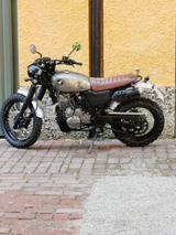 Honda NX650 Dominator / SCRAMBLER Umbau - HONDA SCRAMBLER