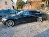 Jaguar xj,3.0 diesel - gebrauchte Jaguar XJ aus dem Jahr 2012