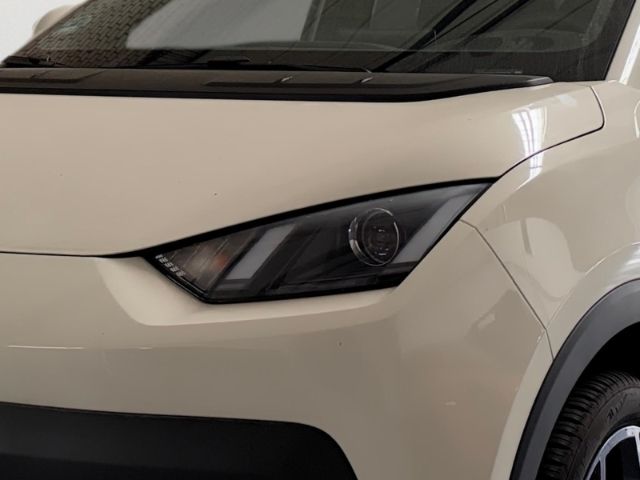 BYD DOLPHIN SURF