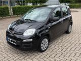 Fiat New Panda 1.2 8V My Style - Fiat New Panda in Hamburg