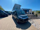 Bürstner Campeo C600 Active *Aufstelldach*Markise* - Angebote
