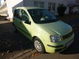 Fiat Panda 1.2 8V Dynamic - Fiat Panda Gebrauchtwagen