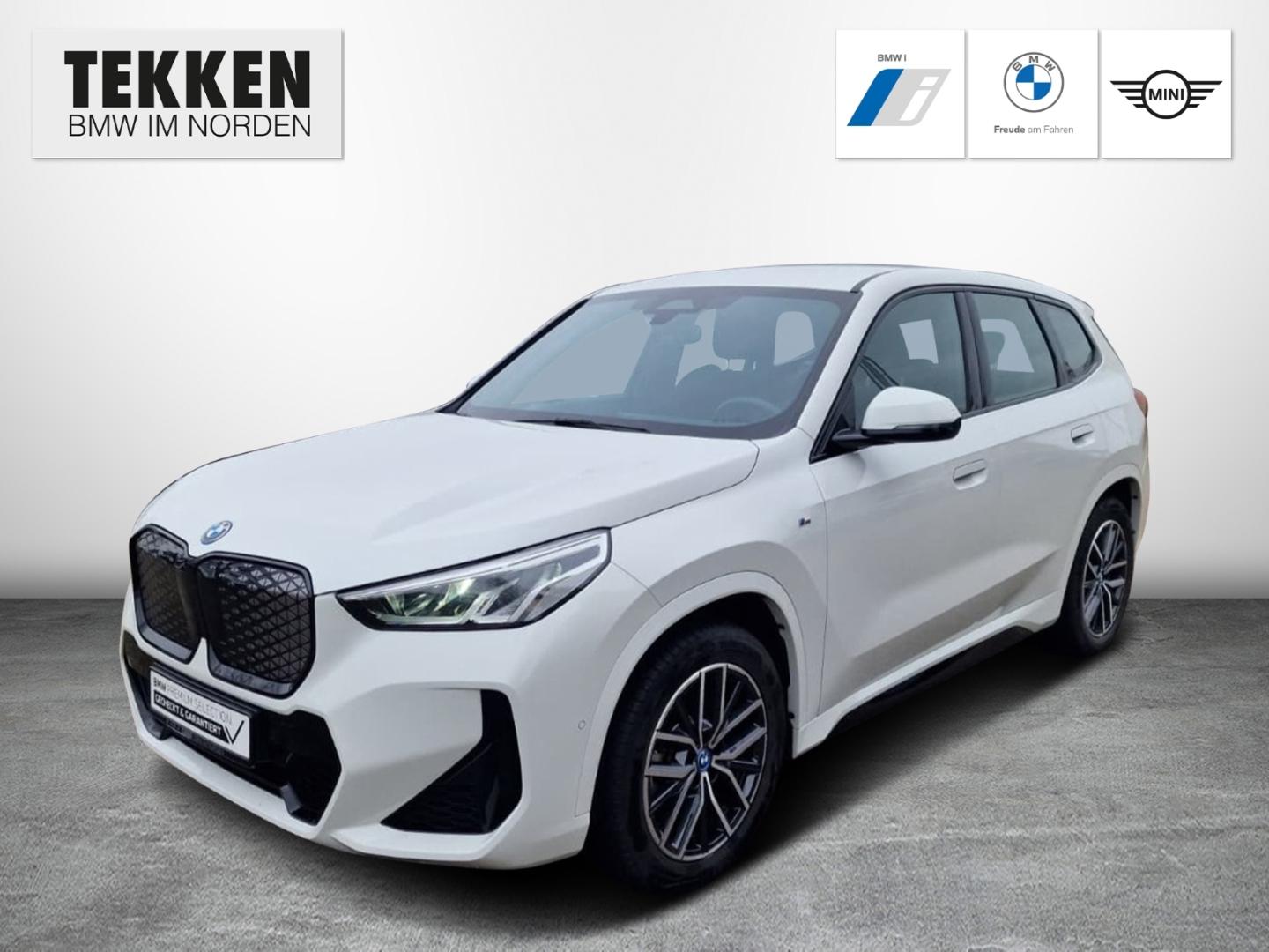 BMW iX1 xDrive30 M-Sport/adapt.Fahrwerk/CarPlay/DAB