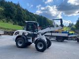 Terex Schaef AL 100 Radlader (netto18500€) - Terex LKWs