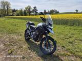 Triumph TIGER 1200 GT PRO  - TRIUMPH TIGER 1200 GT