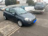 Fiat Punto Evo Dynamic*Klimaanlage*Isofix*Euro5*2Hand - Fiat Punto Evo: Limousine