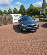 Skoda Fabia Combi Ambition nur 73000 km neu Reifen - Skoda Fabia mit Benzin-Antrieb: Kombi