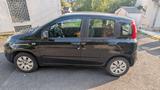 Fiat New Panda 1.2 8V EASY EASY - schwarze Fiat New Panda