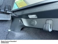 Skoda Kamiq - Vorschau Bild 14