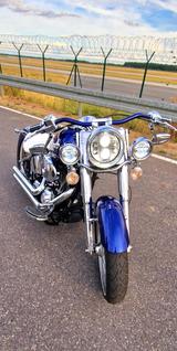 Harley-Davidson FLSTC Chicano Style Lowrider Customumbau - HARLEY-DAVIDSON 2005