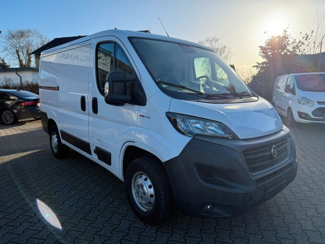 Fiat Ducato Kasten L1H1 NAVI KLIMA 2.Hand R.Cam