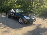 Mercedes-Benz SLK 200 BlueEFFICIENCY - - Mercedes-Benz SL aus dem Jahr 2013