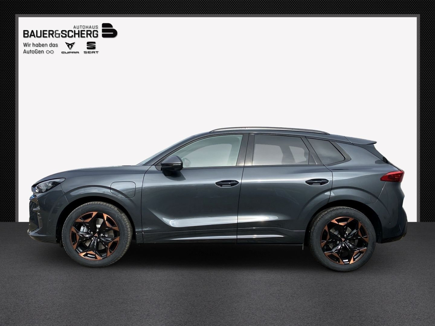 Cupra Terramar - Bild 2