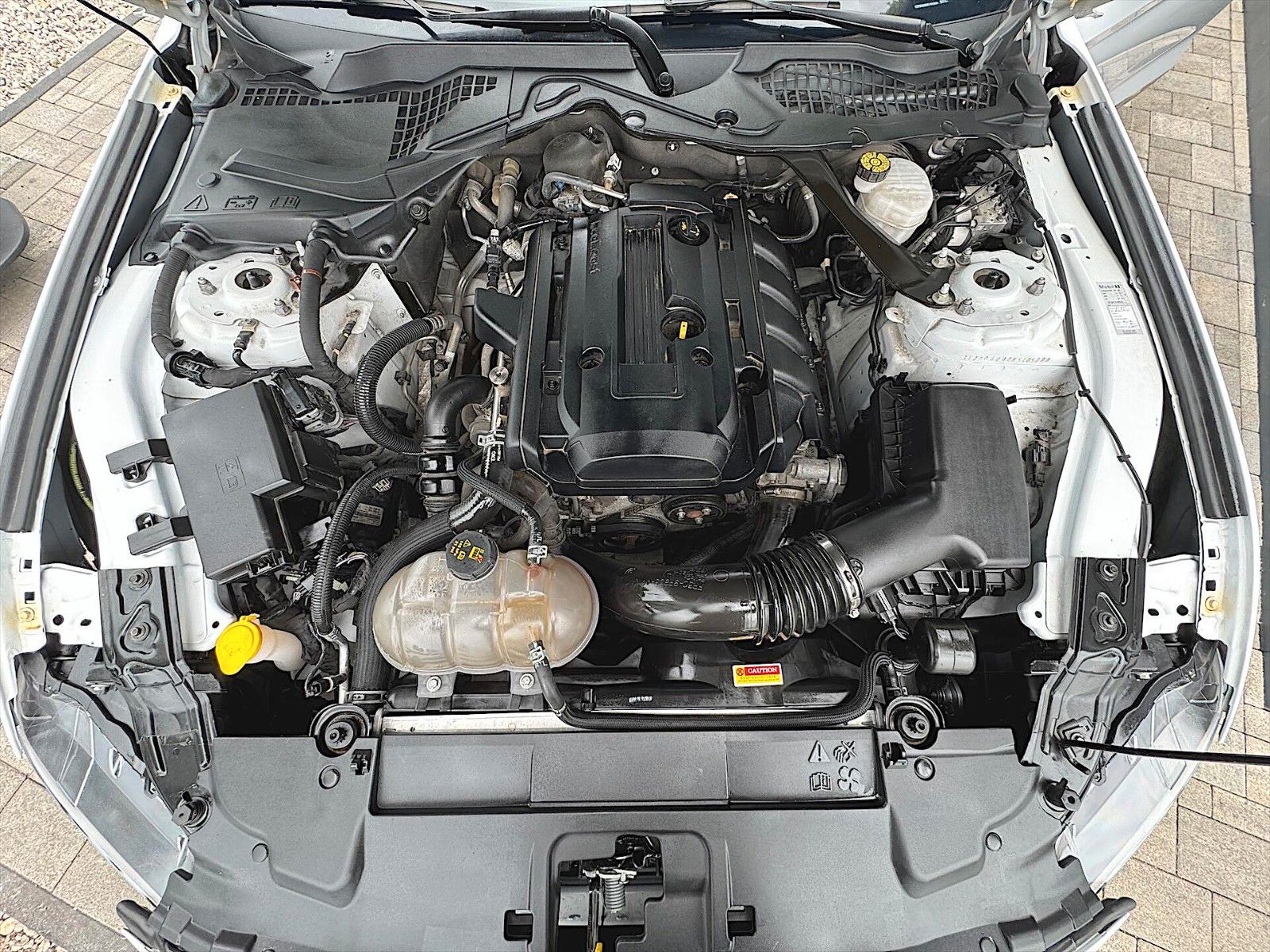 Fahrzeugabbildung Ford Mustang Shelby GT 500 Sport Cabrio Premium LED