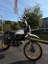 Ducati Scrambler Desert Sled BJ 2017 - DUCATI SL