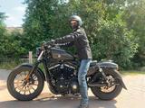 Harley-Davidson Sporster 883 Iron - HARLEY-DAVIDSON 2009 883