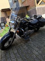 Suzuki Intruder C800 / 1.Hand / Top-Zustand - Offers