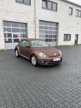 Volkswagen Beetle Design BMT ab 89€ mtl finanzieren - Volkswagen Gebrauchtwagen in Wiesbaden