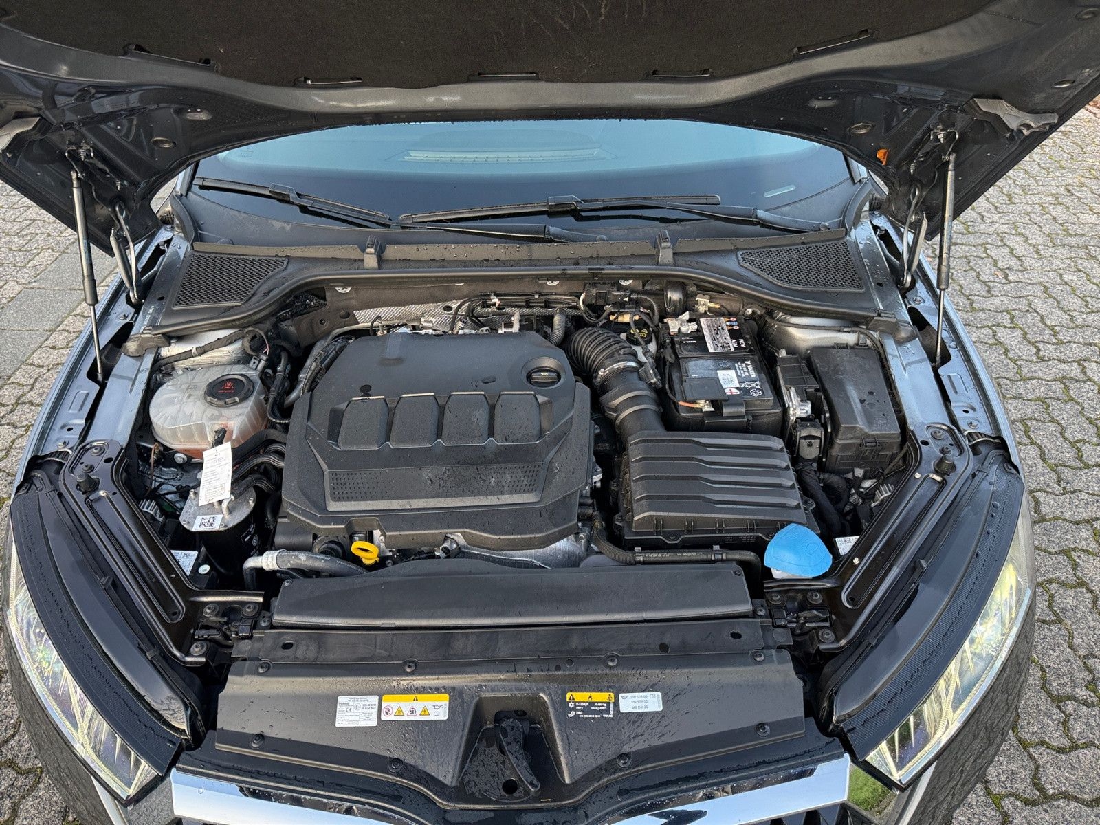 Octavia Combi 2,0 TDI Tour Standh. Matrix  Pano